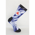 WP SOCKS